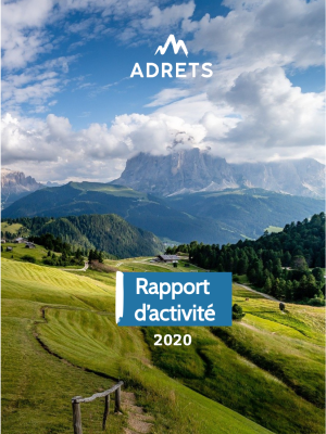 Rapport d'activité 2020