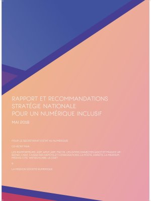 Rapport et Recommandations - Stratégie nationale pour un numérique inclusif